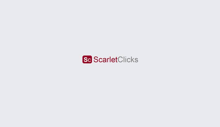 Pay per Click scarlet clicks-ppc